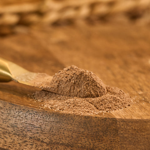 Mexican Hot Chocolate